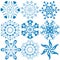 Collection dark blue snowflakes (vector)