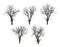 Collection of dead black tree isolated on white background