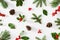 Collection of decorative Christmas plants with green leaves and holly berries