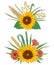 Collection decorative floral design elements. Sunflower, barley, wheat, rye, rice, poppy