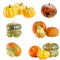 Collection of decorative gourds on a white background