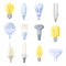 Collection of Different Bulbs Vector Illustration