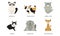 Collection of Different Cats Breeds, Manx, Persian, Abyssinian, Ragdoll, Munchkin, Nebelung Lovely Pets Animals Vector