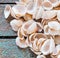 Collection of different seashells on rustic wood