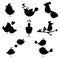 Collection of different silhouettes of cartoon birds. Vector