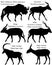 Collection of different species of antelopes in silhouette: black wildebeest white-tailed gnu, bontebok, bongo, addax screwhorn