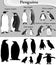 Collection of different species of penguins in black-white image and silhouette: emperor, king, little, african, northern