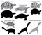 Collection of different species of turtles and tortoises in black-white image and silhouette: pig-nosed turtle, snake-necked