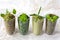 Collection of Dried and Fresh Herbs - from left: oregano, parsley, rosemary, marjoram