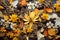 a collection of dried leaves and petals creating a natural collage