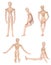 Collection of dummy wooden human figurine
