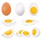 Collection of eggs in various forms  whole,fried, boiled, half and sliced