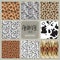 Collection of eight vector seamless patterns with animal skin zebra, leopard, jaguar, giraffe cow.