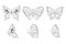 Collection of elegant exotic butterflies isolated on white background. Set of tropical flying insects. Flat vector