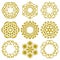 Collection of elegant floral golden oriental ornaments