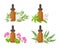 Collection of essential oil in amber glass dropper bottle isolated on white. Lemon verbena, Eucalyptus, Geranium and tea tree.