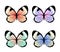Collection of exotic colorful butterflies, vector illustration