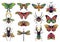 Collection of fantasy colorful insects for design. Vector graphics