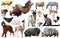 collection farm animals