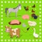 Collection of farm animals sheep, rabbit, cow, pig, rooster, chicken, turkey, horse. Frame of flowers. Vector set of illustrations