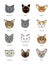 Collection feline muzzles kittens