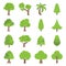 Collection of flat trees Icon, can be used to illustrate