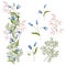 Collection floral bunch of hand drawn wildflowers bluebell and blooming wormwood