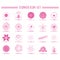 Collection of flower icons. Vector illustration decorative design