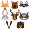 collection of forest animals icons