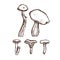 Collection of forest wild mushrooms. Boletus, chanterelles. Set.