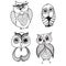 Collection of four different owls