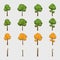 Collection of Four Season Cartoon Trees. Spring, Summer, Autumn, Winter