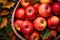 A collection of fresh Autumn harvest apple. Autumn seasonal concept.