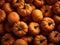 A collection of fresh Autumn harvest pumpkins.