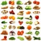 Collection of fresh and colorful vegetables