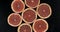 Collection of fresh grapefruit slices on black background. Rotation citrus fruit. Top view.