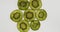 Collection of fresh kiwi slices on white background. Rotation citrus fruit. Top view.