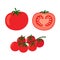 Collection of fresh red tomatoes vector illustrations. Half a tomato, a slice of tomato, cherry tomato.
