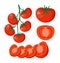 Collection of fresh red tomatoes vector illustrations. Half a tomato, a slice of tomato, cherry tomato.