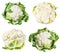 Collection of fresh ripe Cauliflowers isolated