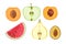 Collection of fruit slices isolated on white. Vector illustration of a half apple, pear, peach, apricot, plum and watermelon