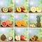 Collection of fruits like oranges, peaches, pineapple, lemons an