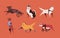 Collection of funny disabled dogs isolated on orange background. Bundle of happy domestic animals or pets with