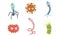 Collection of Funny Microbes, Colorful Bacterias and Pathogens Characters With Various Emotions Vector Illustration