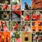 Collection of Fushimi Inari Taisha Shrine scenics