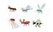 Collection of geometric insects set, mosquito, dragonfly, beetle deer, bee, vector Illustration on a white background