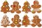 Collection of gingerbread cookies for Christmas.