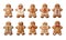 Collection of Gingerbread People on transparent background