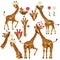 Collection Giraffes. Head Giraffe with flower. Funny, Cute, smiling African animals. Vector illustration.