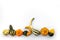 Collection of gourds aligned on white background with copy space. Fall and haloween still life